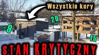 Vlog 79 - OGŁASZAM stan krytyczny  Wszystkie kury w jeden KURNIK  Ciepłe jedzenie 