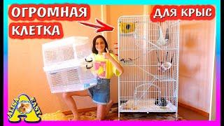 ОГРОМНАЯ КЛЕТКА ДЛЯ КРЫС  ЗООПОКУПКИ  РАСПАКОВКА  Alisa Easy Pets