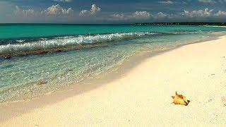 Relaxing Music with Gentle Ocean Sounds Soothing Waves and Peaceful Music