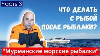 Что делать с рыбой после рыбалки? Рыбалка на треску пикшу сайду. Мурманские морские рыбалки.