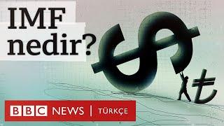 IMF nedir? Neden eleştiriliyor?