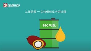 How it works - Biofuel production process Chinese subtitles