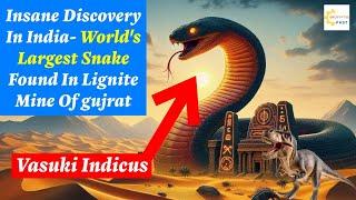 Giant Snake Found In India - Gujrat  Vasuki Indicus Found In Lignite Mines Of Kutch Encrypted Past