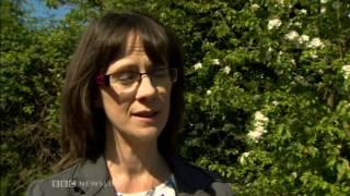 BBC Newsline  08 05 17 18 44