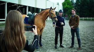 JPC Sport Horses - Dressage Horse Breeding Farm