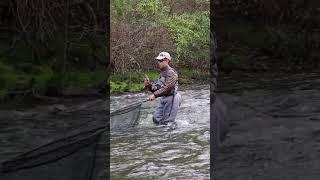  JUMPING #trout  #flyfishing #shorts  Happy On The Fly