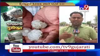 Gujarat Unseasonal rain lashes Banaskantha farmers fear crop failure- Tv9