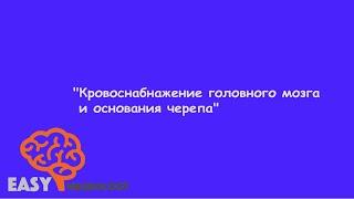 Нейрохирургический цикл. Кровоснабжение головного мозга и основания черепа