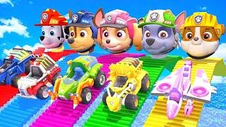 PAW Patrol Guess The Right Door ESCAPE ROOM CHALLENGE ESCAPE ROOM CHALLENGE Animals Cage Game #79