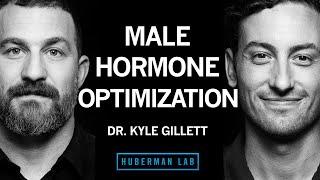 Dr. Kyle Gillett Tools for Hormone Optimization in Males  Huberman Lab Podcast 102