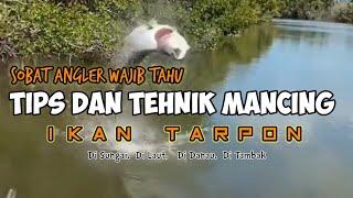 Tips Dan Tehnik Mancing Ikan Tarpon  Ikan Bulan  Babon Yg Wajib Angler Tahu