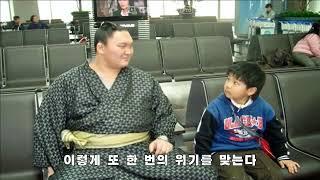 스승 나락으로 보내버리고 은퇴한 스모선수