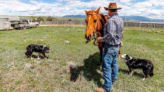 Inside a Real Montana Ranch - Whats it REALLY Like??