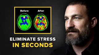 Neuroscientist You Will NEVER Feel Stressed Again  Andrew Huberman