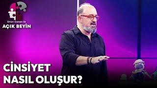 Kadın ve Erkek Cinsiyeti Nasıl Oluşur?  Sinan Canan ile Açık Beyin