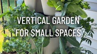 Favorite Vertical Garden Planter for Small Spaces