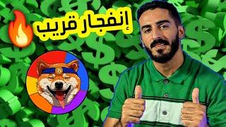 عملة الميم الجديدة bitdoge صاروخ يستعد لإنفجار سعري