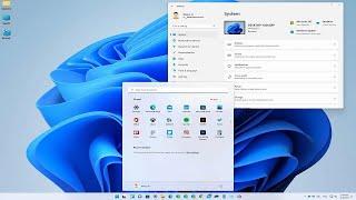 How to install Zoom on Windows 11