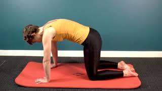 How to perform a cat cow stretch for back pain