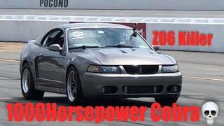 Z06 vs Cobra terminator Whipple