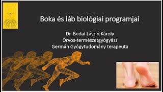 Boka és láb biológiai programjai