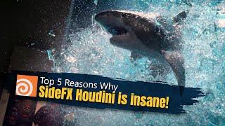 Why SideFX Houdini is absolutely insane