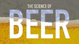 How is Beer Made?
