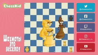  Шахматы для детей на ChessKid - Линейный мат  Как научиться играть в шахматы