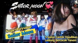 Sailor Moon Sang Pahlawan Kebohayan  Alur Cerita Film