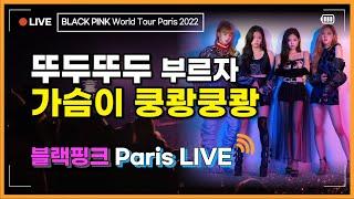 HQ LIVE BLACKPINK World Tour Paris 15- DDU-DU DDU-DU 뚜두뚜두 더 이상 말이 필요없는 블핑의 대표곡을 부르자 놀라운 반응이..