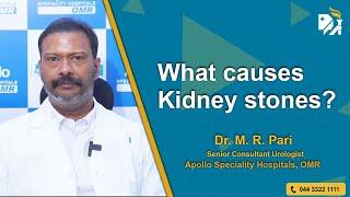 What causes Kidney stones? Dr M. R. Pari explains the reasons.