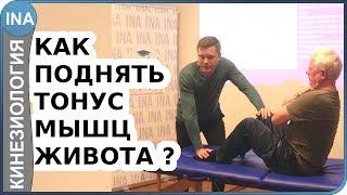 Как восстановить мышцы живота и получить плоский живот? Прикладная кинезиология