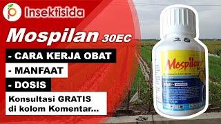 Review Insektisida Mospilan 30 EC Dosis dan Manfaat untuk Tanaman Cabe dll