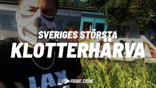 SVERIGES STÖRSTA KLOTTERHÄRVA HELA RÄTTEGÅNGEN