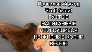 Уход за волосами чтоб корни не были жирными и при этом напитанные кончики волос