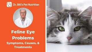 Feline Eye Problems  Symptoms & Causes  Dr. Bills Pet Nutrition