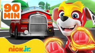 PAW Patrol Marshalls Rettungen 90 Minuten-Compilation  Nick Jr. Deutschland