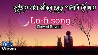 Shutoy Bandha jibon chere palabi সুতোয় বাধা জীবন ছেড়ে পালাবি  bengali lofi song slowed+Reverb