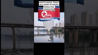 North Korea Trash Balloons To South Korea Had Parasites