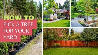 How to Pick a Tree for Your Yard