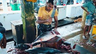 Fast and Smooth Amazing Fish Cutting Skill Sri Lanka