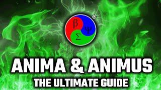 Resolve your Anima & Animus The Ultimate Guide