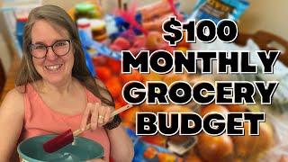 My $100 Per Month Grocery Budget An Update and Tips