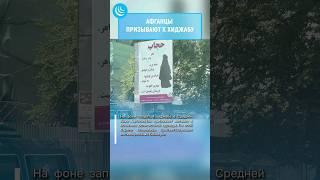 В АФГАНИСТАНЕ ПРОСЯТ НОСИТЬ ХИДЖАБ #мирадио #новости #news #афганистан #afganistan #хиджаб #никаб