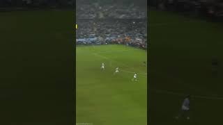 eforia saat Malmo FF juara Liga swedia #fyp #shorts #short #shortvideo #football #soccer #trending