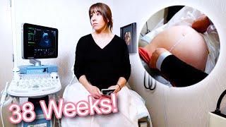 Were Cleared To Have An Induction at 39 Weeks - 38 Week Pregnancy Ultrasound