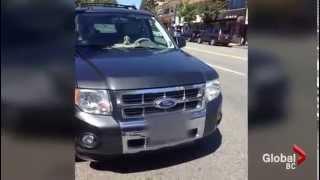 Jennifer Beals leaves dog in parked car  West Vancouver 7292015