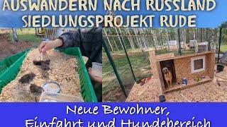 Kevin und Patrycja’s neue Bewohner die neue Einfahrt und der Hundebereich ….