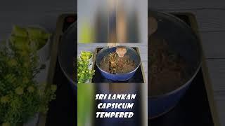 Sri Lankan Capsicum TemperedMalu miris teldala #shorts