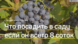 Богатый и красивый сад на 8 СОТКАХ? Реально ПРОГУЛКА по саду заказчика. Как выглядит сад спустя 2г.